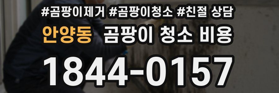 안양동 곰팡이 청소 비용