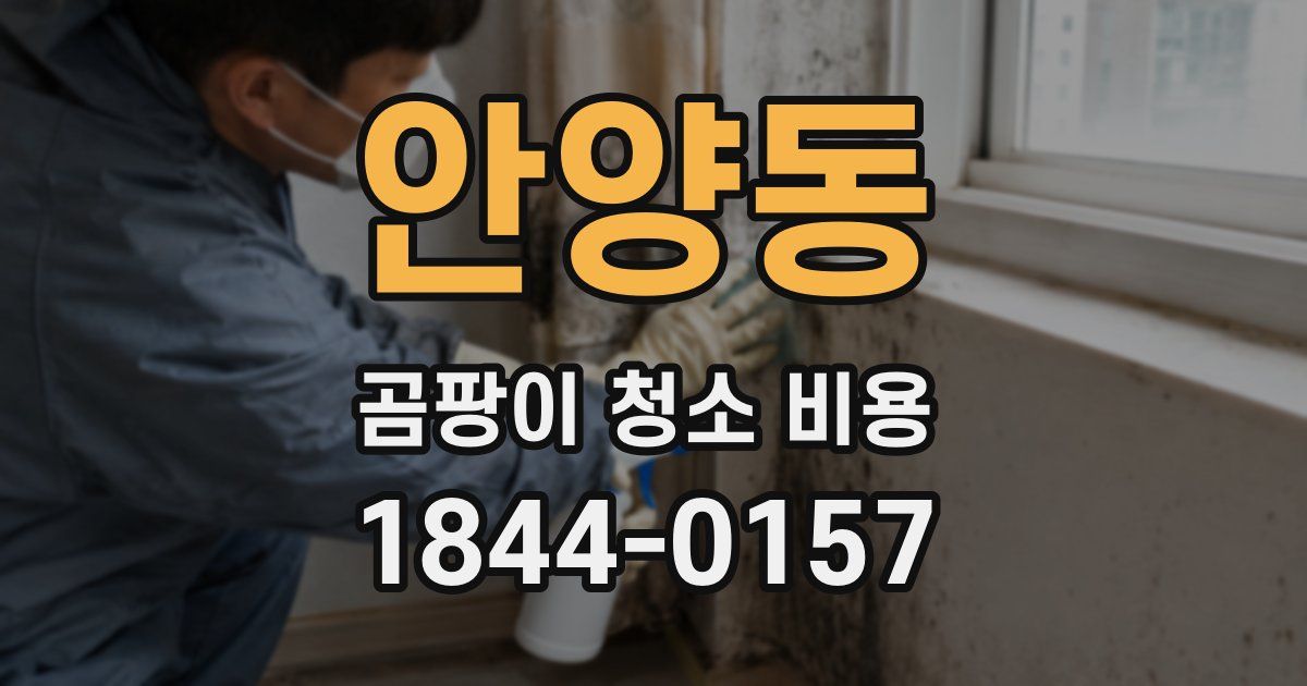 안양동 곰팡이 청소 비용