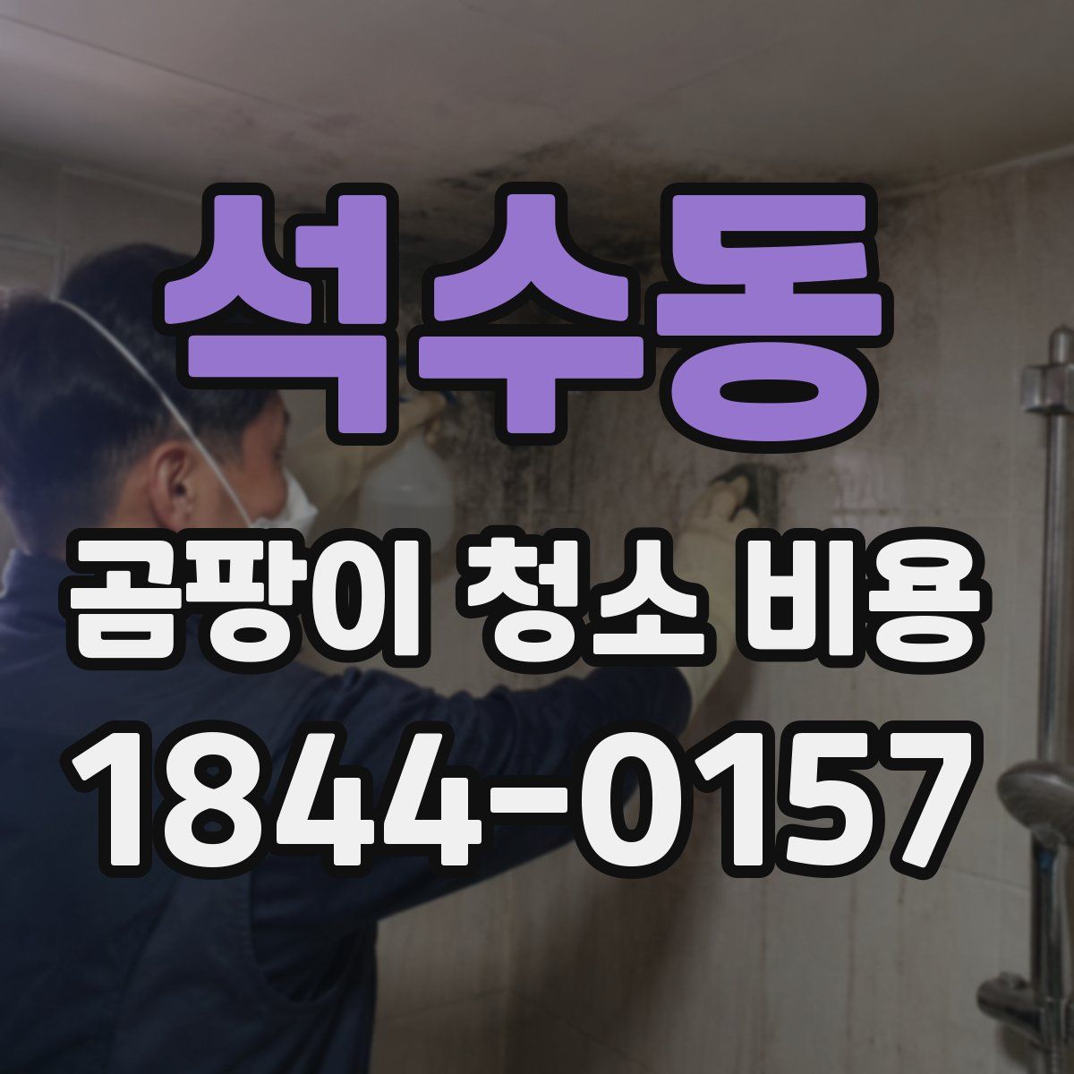 석수동 곰팡이 청소 비용