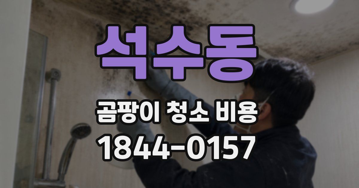 석수동 곰팡이 청소 비용