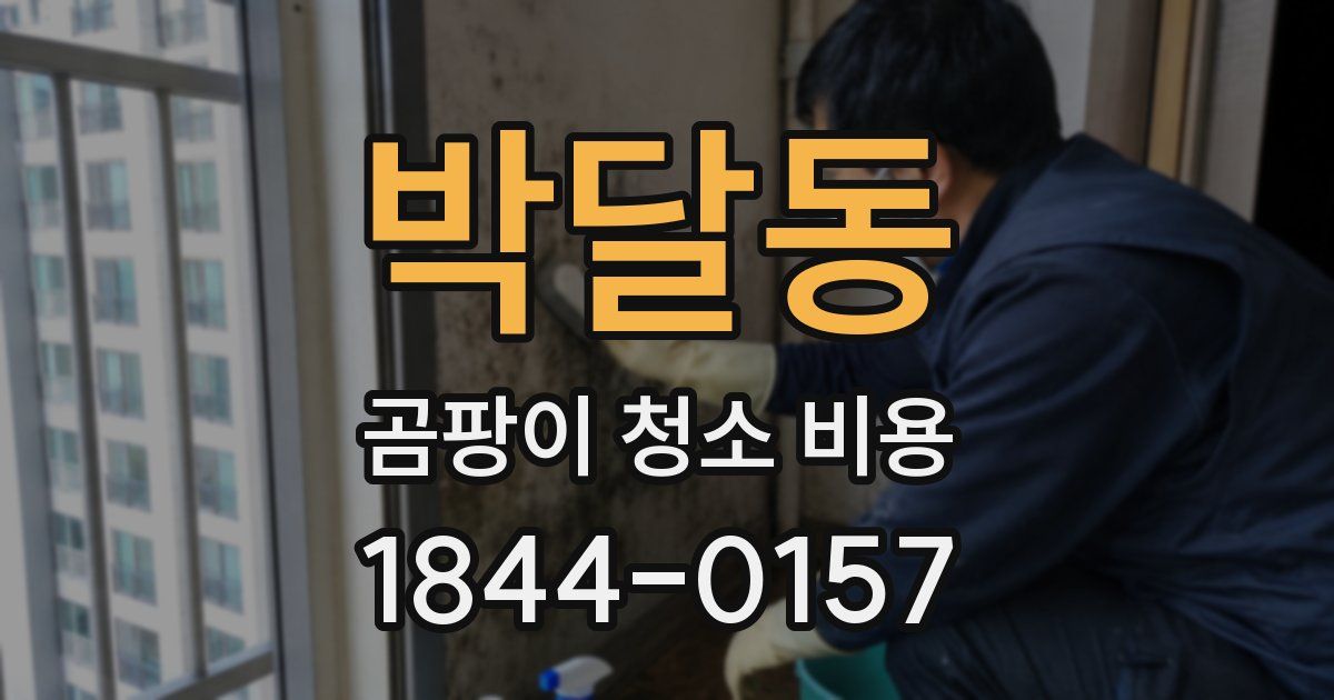 박달동 곰팡이 청소 비용