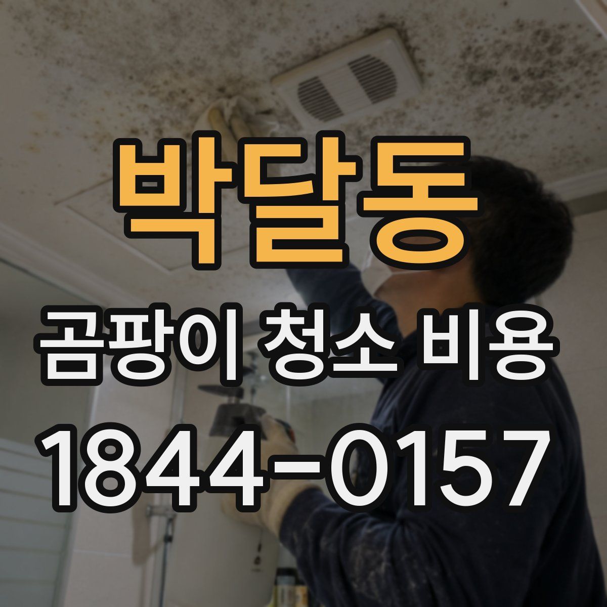 박달동 곰팡이 청소 비용