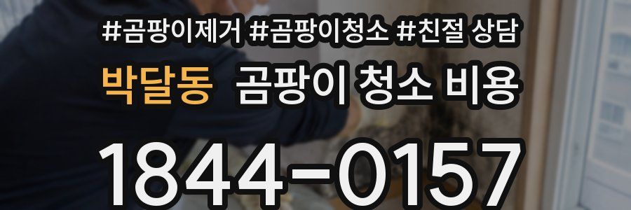 박달동 곰팡이 청소 비용