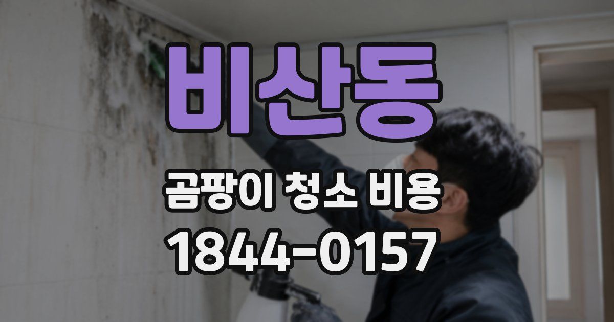 비산동 곰팡이 청소 비용