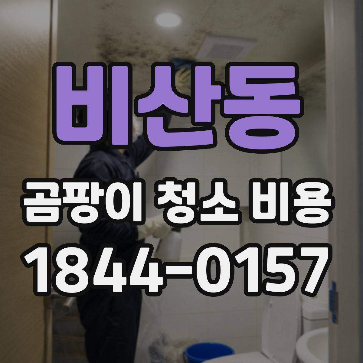 비산동 곰팡이 청소 비용