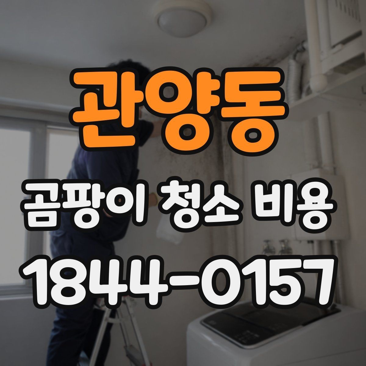 관양동 곰팡이 청소 비용 문의 전에 정리하면 좋은 정보
