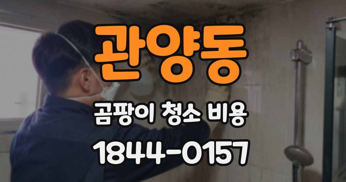 관양동 곰팡이 청소 비용