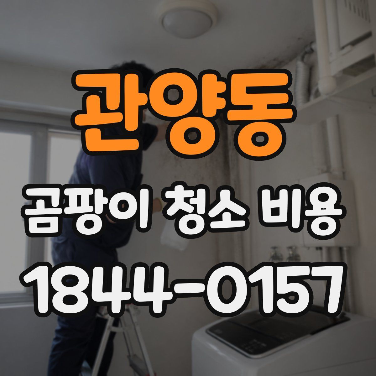관양동 곰팡이 청소 비용