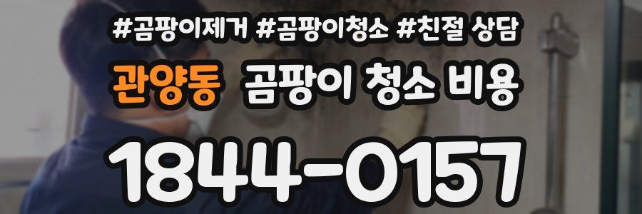 관양동 곰팡이 청소 비용