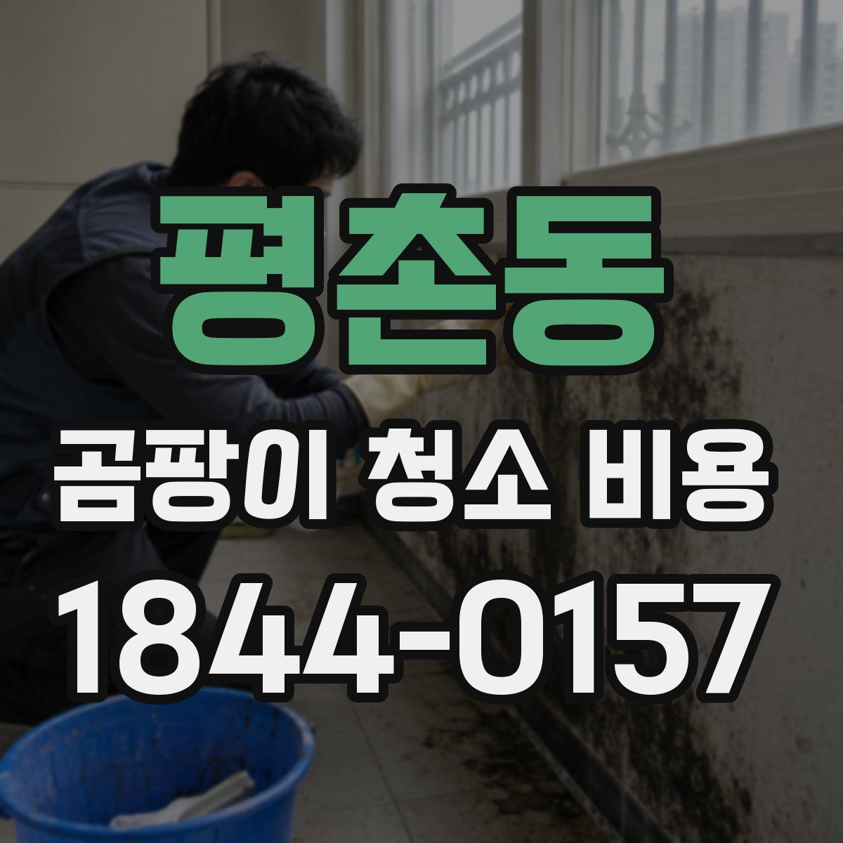 평촌동 곰팡이 청소 비용