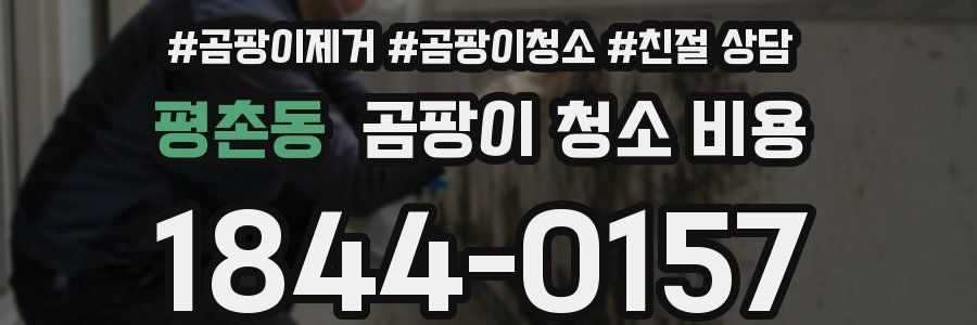 평촌동 곰팡이 청소 비용