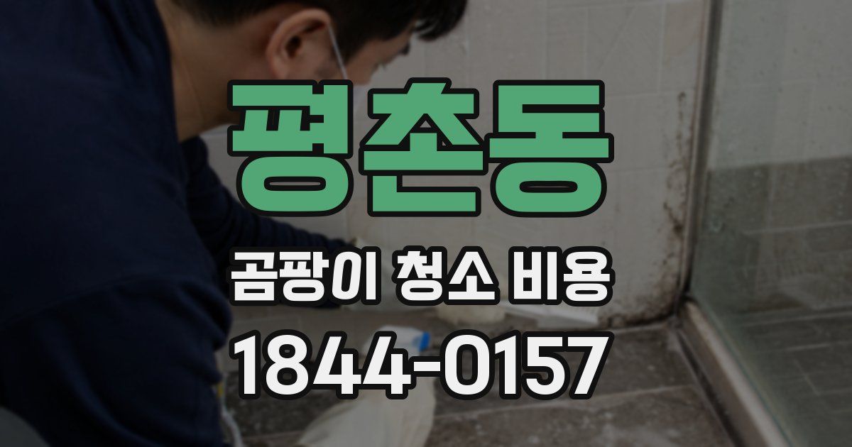 평촌동 곰팡이 청소 비용