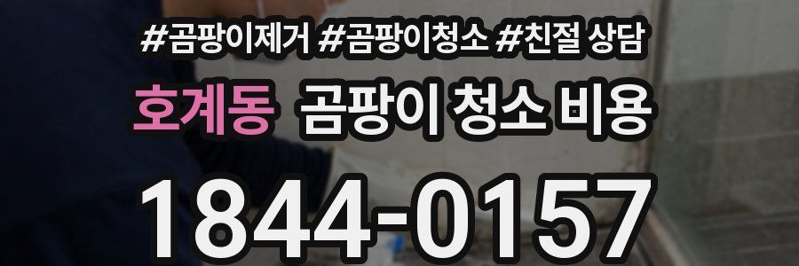호계동 곰팡이 청소 비용