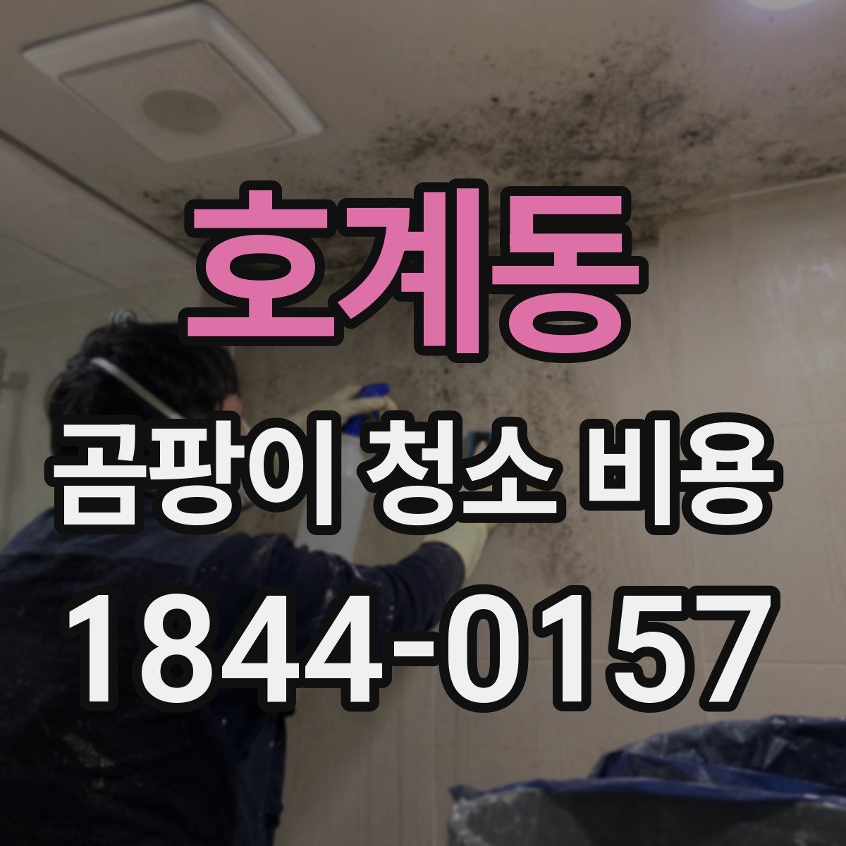 호계동 곰팡이 청소 비용