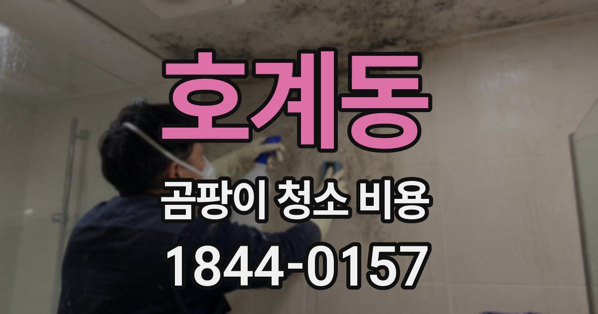 호계동 곰팡이 청소 비용
