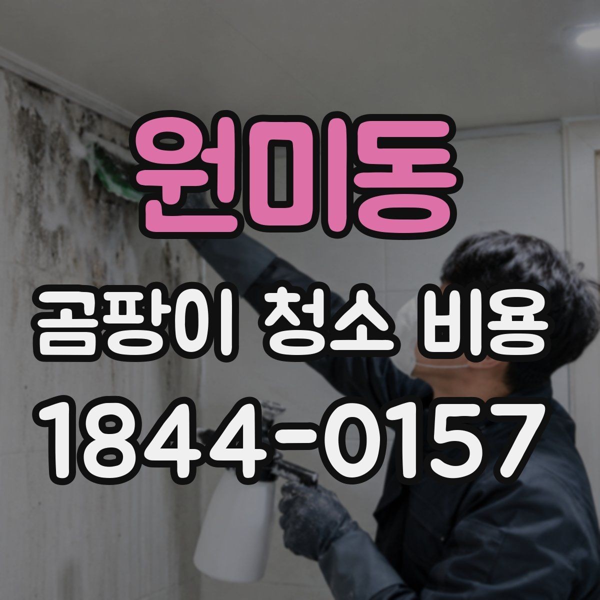 원미동 곰팡이 청소 비용 비교 시 주의할 기준