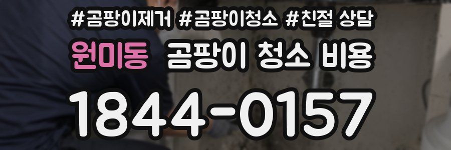 원미동 곰팡이 청소 비용