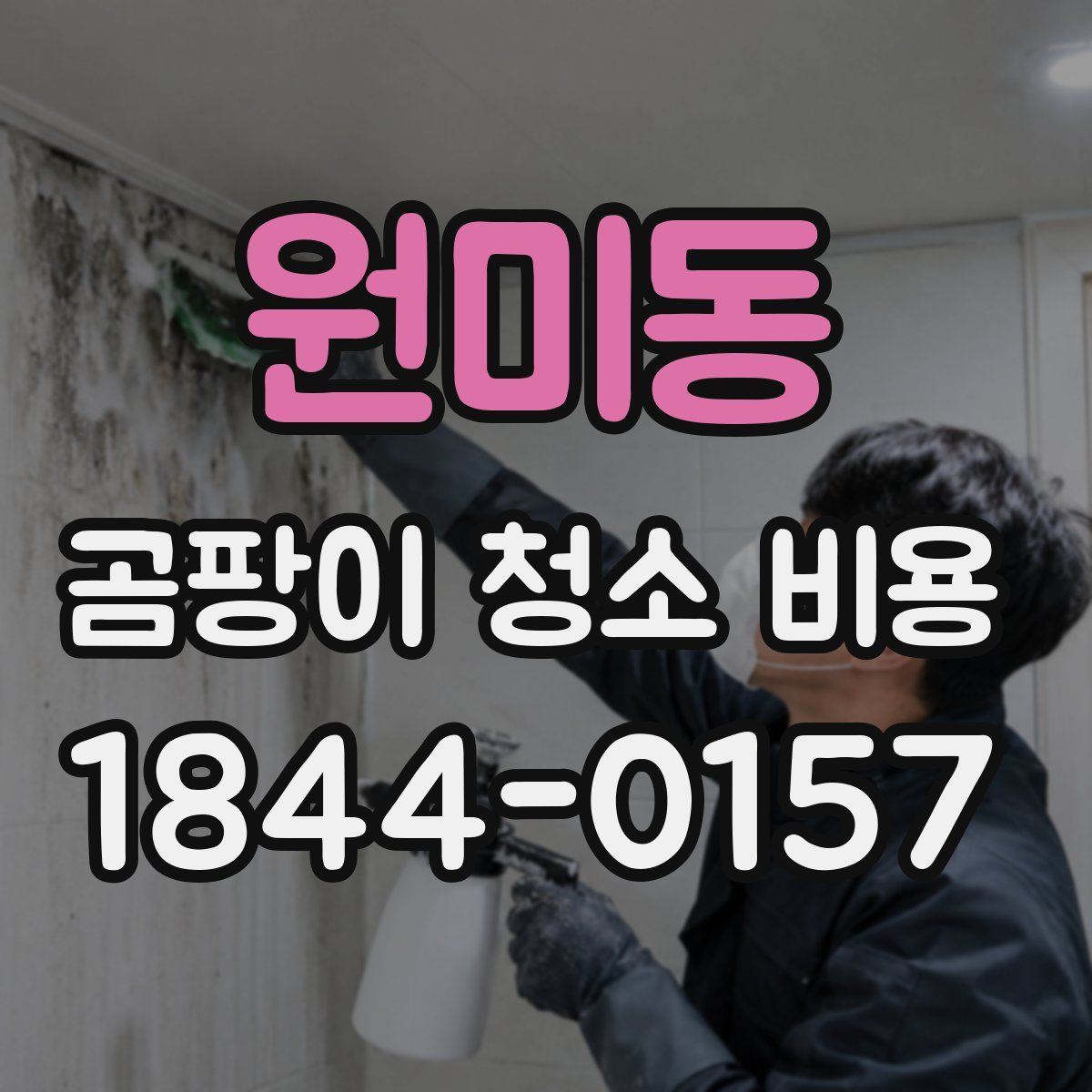 원미동 곰팡이 청소 비용