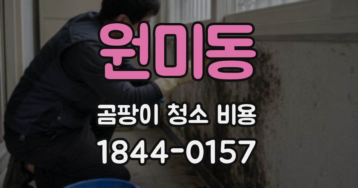 원미동 곰팡이 청소 비용