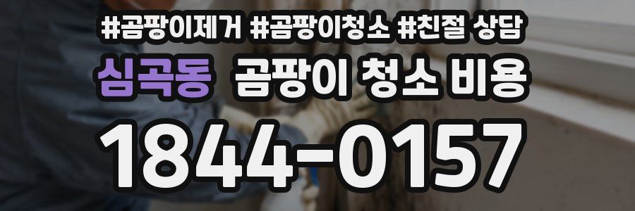 심곡동 곰팡이 청소 비용