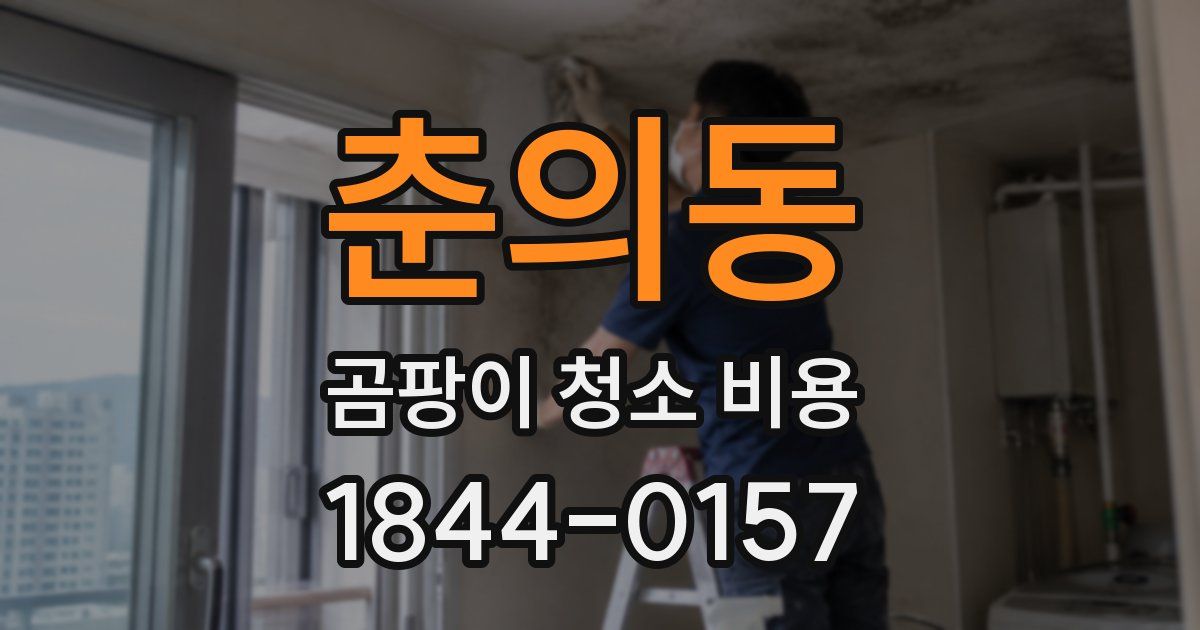 춘의동 곰팡이 청소 비용
