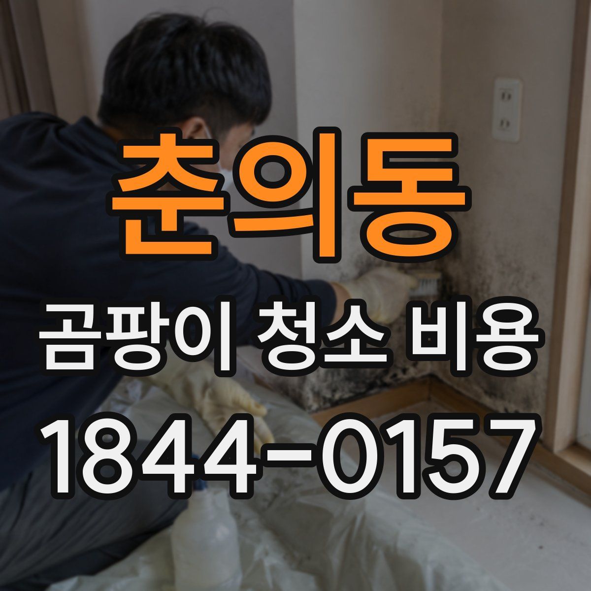 춘의동 곰팡이 청소 비용