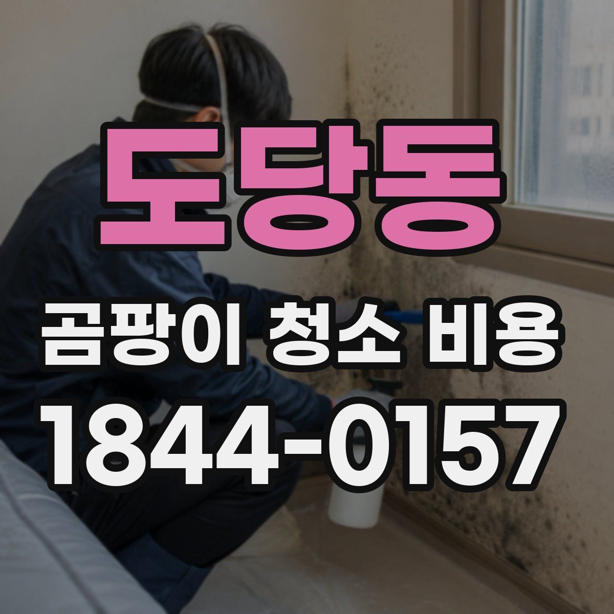 도당동 곰팡이 청소 비용