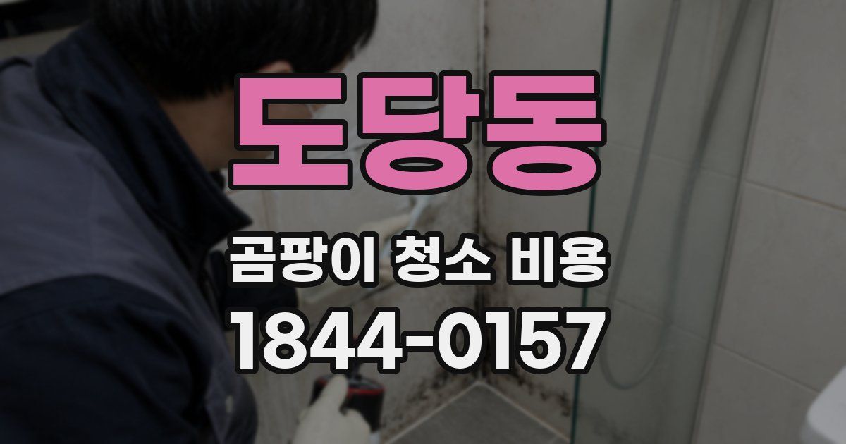 도당동 곰팡이 청소 비용