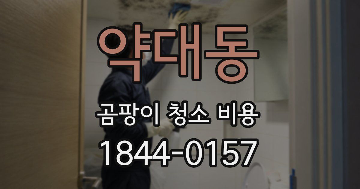 약대동 곰팡이 청소 비용