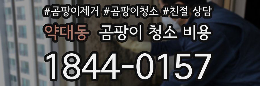 약대동 곰팡이 청소 비용