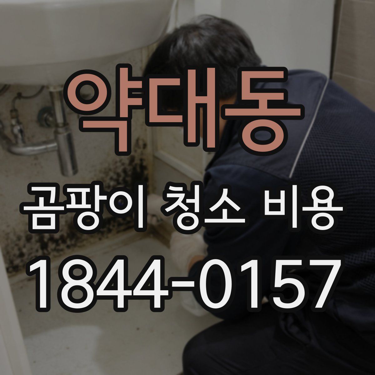 약대동 곰팡이 청소 비용