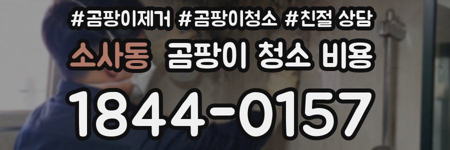소사동 곰팡이 청소 비용