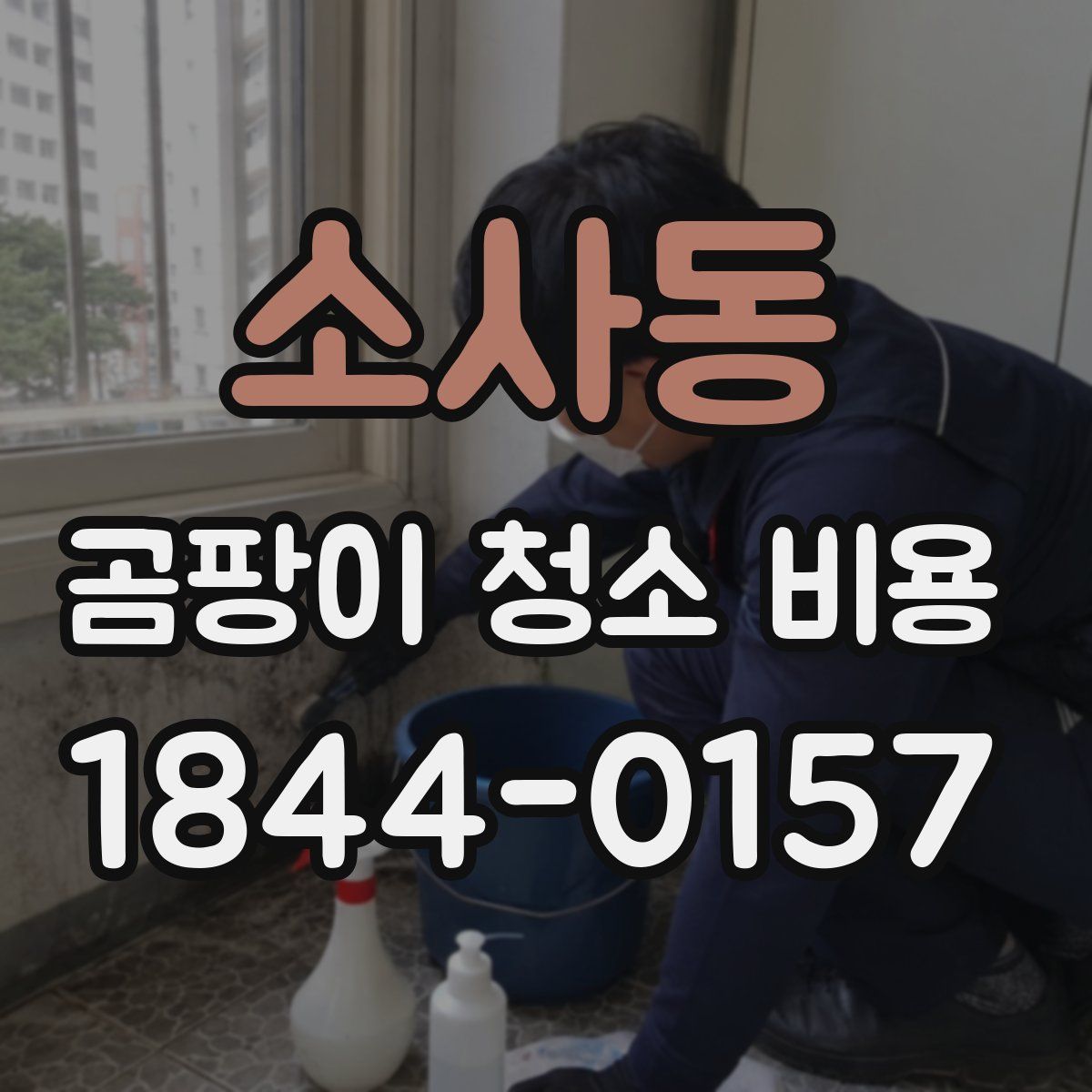 소사동 곰팡이 청소 비용