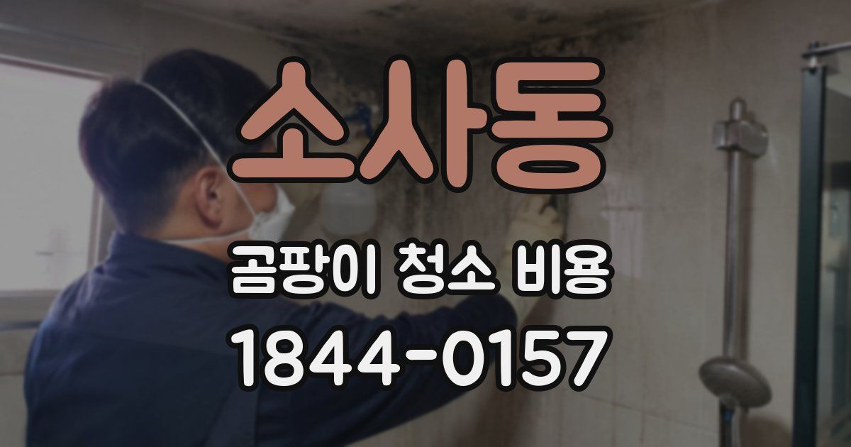 소사동 곰팡이 청소 비용