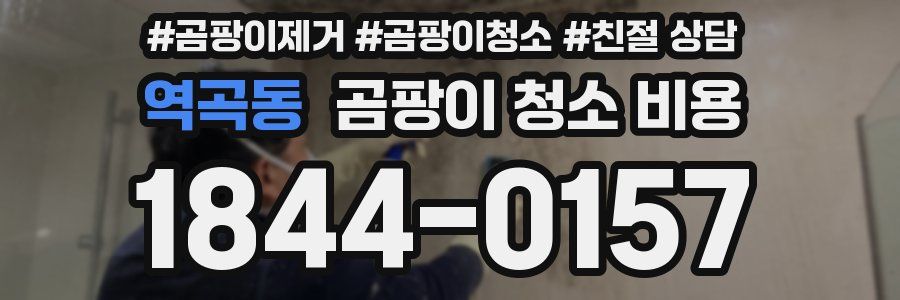 역곡동 곰팡이 청소 비용