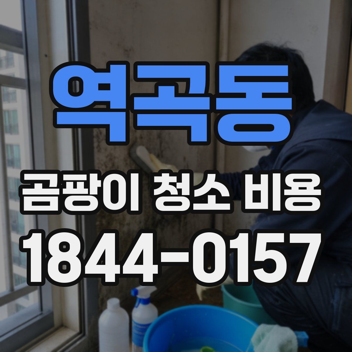 역곡동 곰팡이 청소 비용