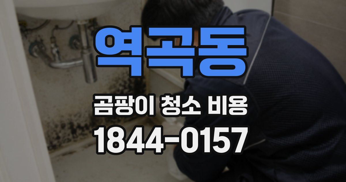 역곡동 곰팡이 청소 비용