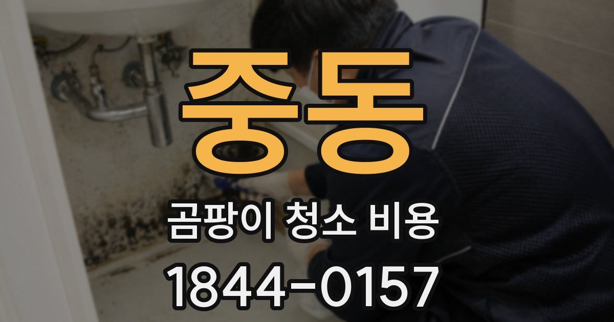 중동 곰팡이 청소 비용