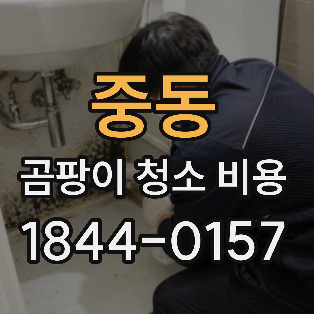중동 곰팡이 청소 비용