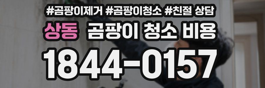상동 곰팡이 청소 비용