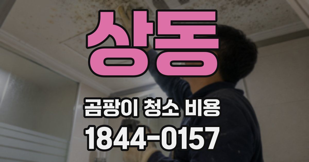상동 곰팡이 청소 비용