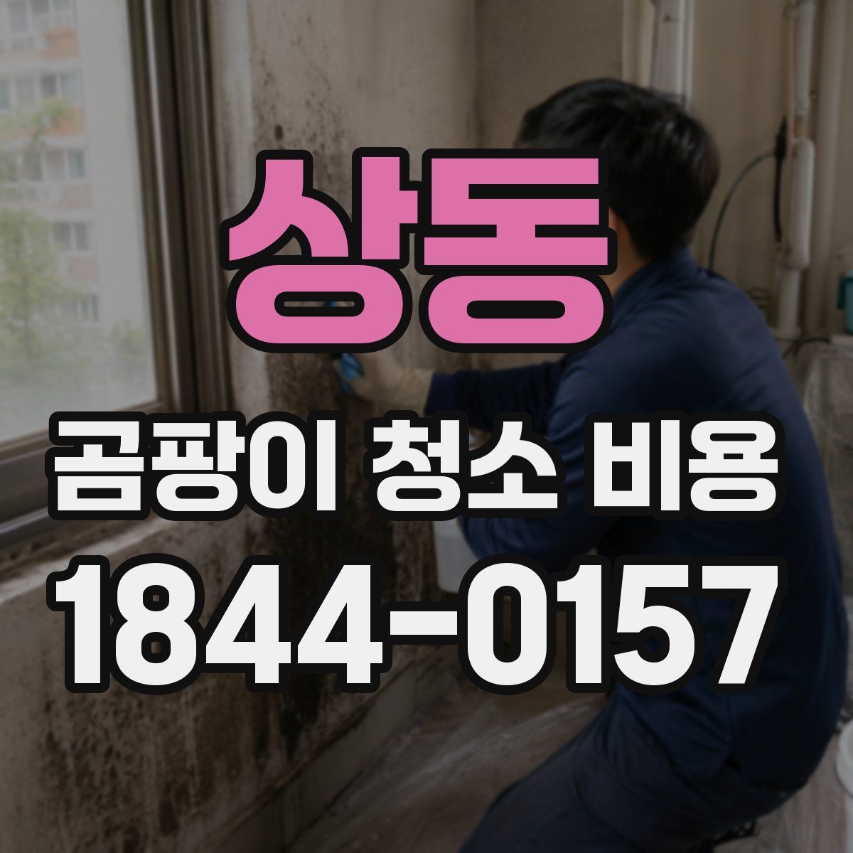 상동 곰팡이 청소 비용