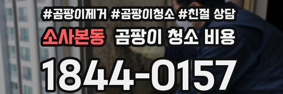 소사본동 곰팡이 청소 비용