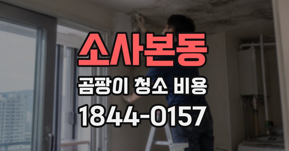 소사본동 곰팡이 청소 비용