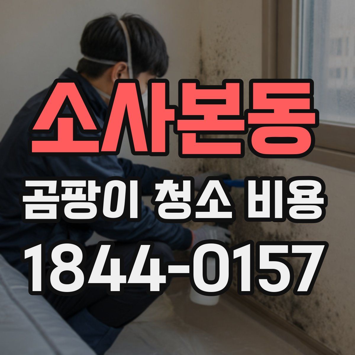 소사본동 곰팡이 청소 비용