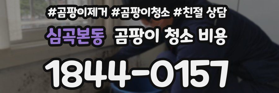 심곡본동 곰팡이 청소 비용