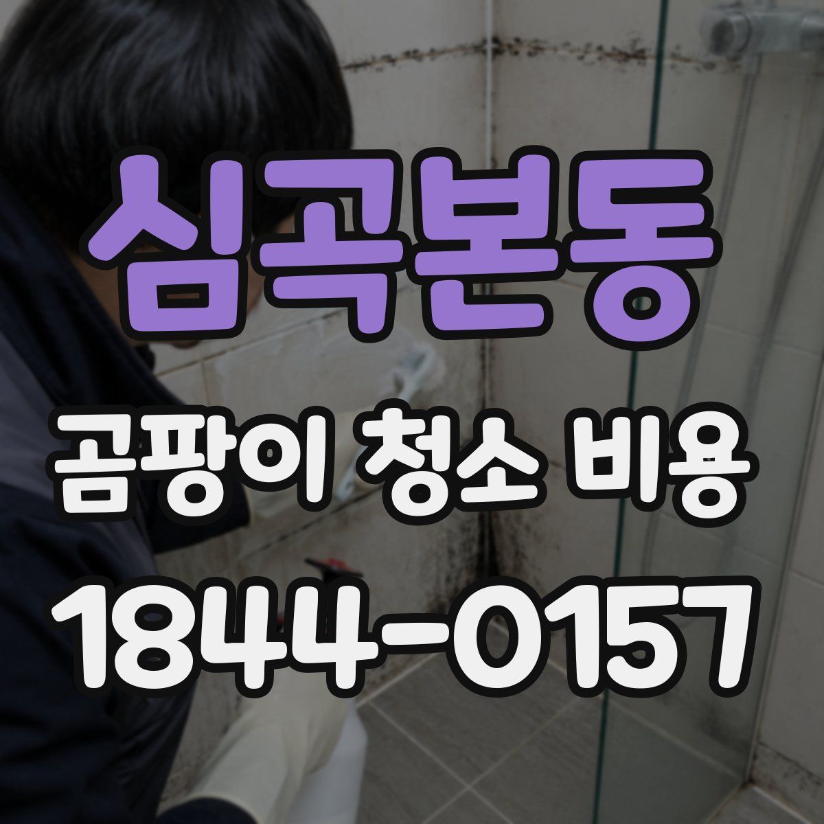 심곡본동 곰팡이 청소 비용