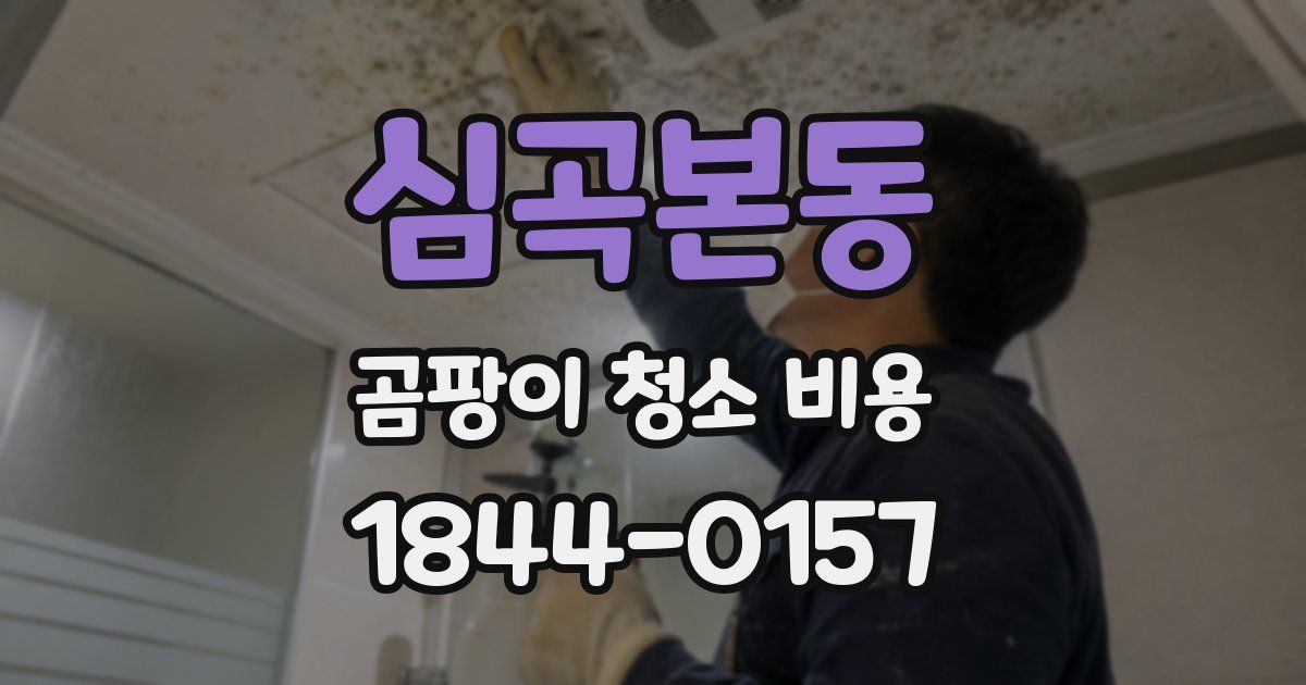 심곡본동 곰팡이 청소 비용
