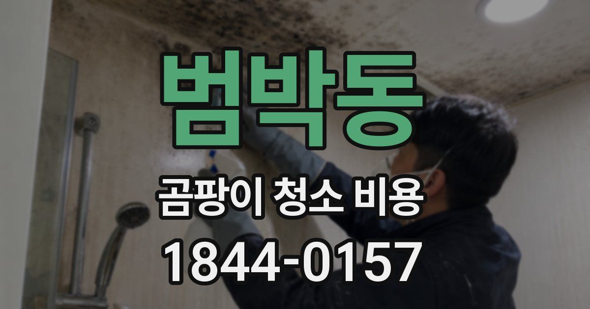 범박동 곰팡이 청소 비용