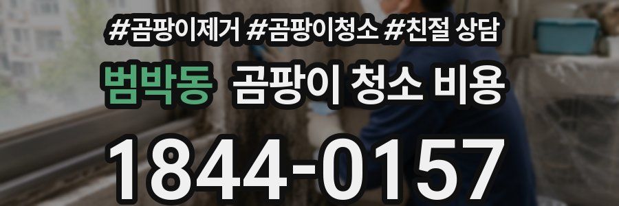 범박동 곰팡이 청소 비용